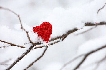 Red knitted love heart on a tree branch in the snow in winter forest. Valentine's card, background for Christmas celebration