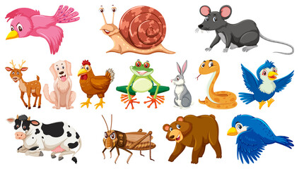 Obraz premium Set of isolated different animals