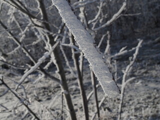 bush branches are covered with a thick layer of fresh snow against a blue sky on a sunny day. Natural background for design.