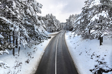 Empty asphalt road passing through idyllic snowy winter landscape in the mountain with pine trees on the side