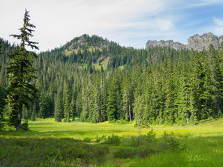 Washington State, Central Cascades, Alpine Meadow