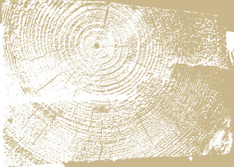 circular wood grain texture vector illustration background