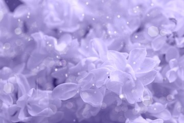 Purple abstract background with blurred lights. Shiny background in color of the year, verry peri with copy space.