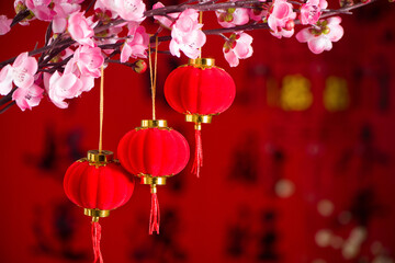 chinese lanterns ,Chinese new year's decoration.