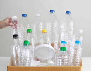 Woman's hand are put recycled plastic bottle into carton box in order to sorting process of trash  for sustainability and environmental. A Save energy and World.