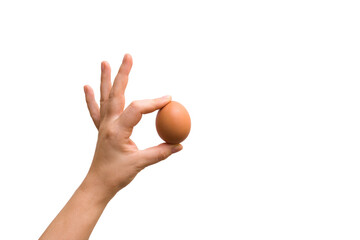 hand holds chicken egg isolated on white background