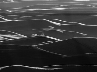 USA, Washington State, Palouse region, Rolling hills at Sunset