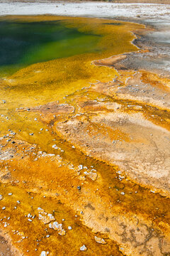 USA, Wyoming, Yellowstone National Park, Black Sand Basin, Emerald Pool. Green pool with yellow thermopile bacteria mat.