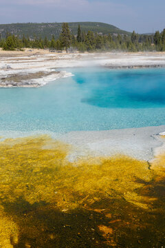 USA, Wyoming, Yellowstone National Park, Biscuit Basin, Sapphire Pool, colorful thermophile and bacteria mat.