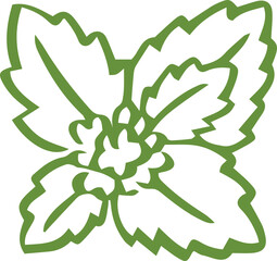stevia icon