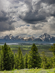 Evergreens, dramatic clouds and a grand view of Teton Mountains, Grand Teton National Park, Wyoming