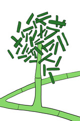 Microscopic fungi Hormographiella, scientific illustration