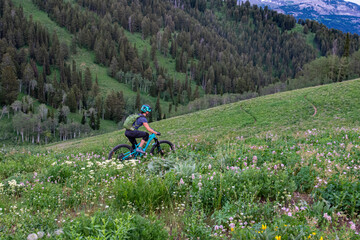 USA, Wyoming. Man mountain biking in singletrack and wildflowers, west side of Teton Mountains