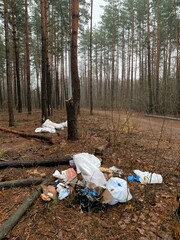 Garbage dump in the forest. Environmental pollution. Concept: Illegal dump in nature. People illegally throw garbage in the forest.