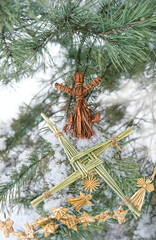 handmade amulet from straw, magic witchcraft doll on snowy pine tree. Brigid's cross - symbol of...