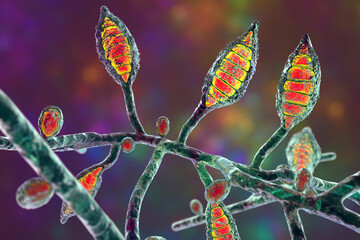 Microscopic fungi Microsporum canis, scientific 3D illustration - obrazy, fototapety, plakaty