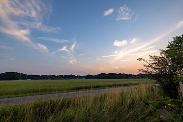 Obraz premium summer landscape, field with green grass and horizon, textured sunset sky, sun. High quality photo
