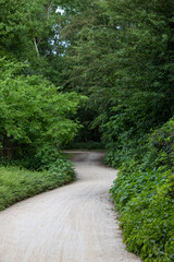 Fototapeta premium A long straight mud road in the forest. High quality photo