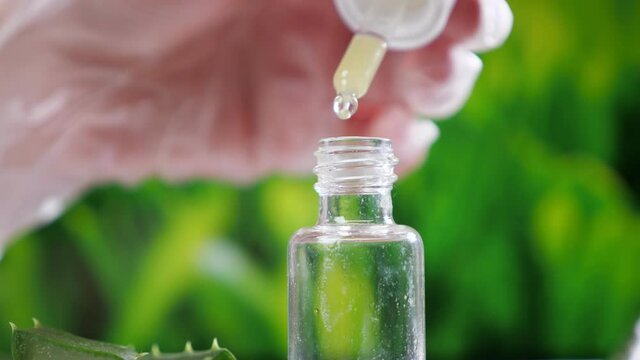 Laboratory worker hand opens glass bottle dropping fresh aloe juice with pipette near cut leaves at white table on blurred background closeup.