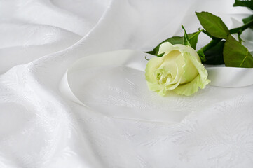 Obraz na płótnie Canvas one beautiful white rose on white silk background. Congratulations on Valentine's Day, happy birthday. Close-up. Copy space