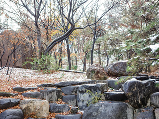 Landscape of Seoul Park in South Korea on snowy days