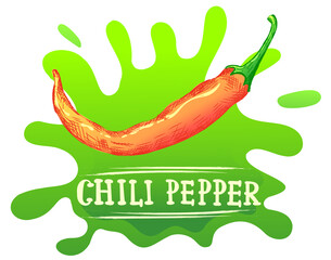 illustration of chili pepper in bright colors, inscription or lettering with words chili pepper. Illustration for advertising, packaging or publishing recipes. Culinary illustration of vegetables