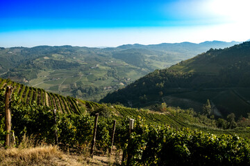 The hills full of vineyards of Santo Stefano Belbo, the area of Muscat wine in Piedmont,...