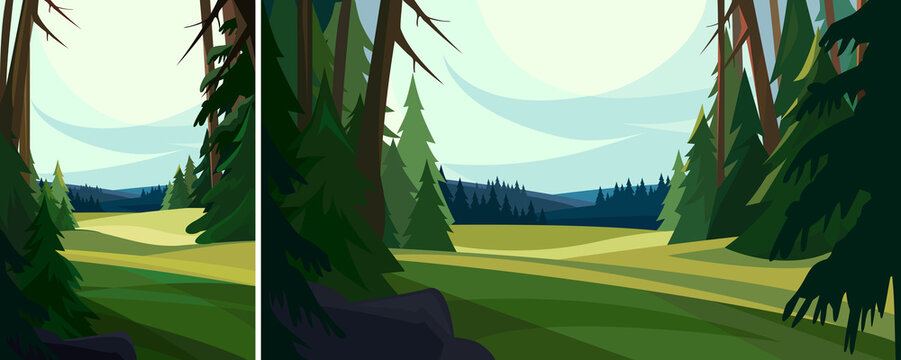 Beautiful coniferous forest. Nature landscape in different formats.