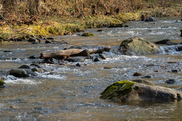 Mountain river among stones and trees. Close-up of boulders in water. Huge stones in green moss. Bbeautiful landscape of fast river with small whirlpools and waterfalls around stones.