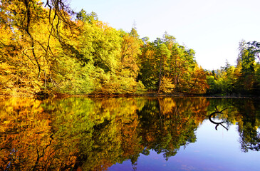 Fototapeta premium Autumn landscape with brightly colored leaves and reflections in the water. Small lake in nature.