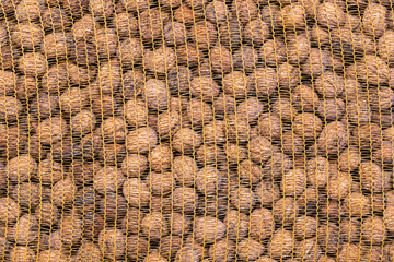 Walnuts Juglans regia in a yellow plastic net .