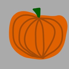 pumpkin.  autumn orange vegetable illustration