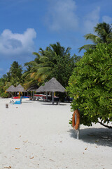 Morning in the Maldives, Indian Ocean coast with white sand, corals, palm trees, lifebuoy and parasols