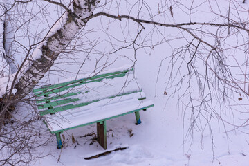 Snow-covered bench under a tree in winter.