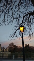 Por do sol nos jardins do Retiro, Madri, Espanha 