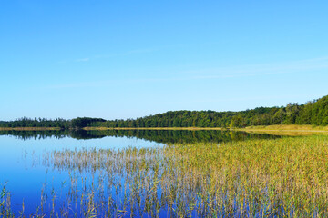 Priesterbäker See in the Müritz National Park. Mecklenburg Lake Plateau. Mecklenburg Lakeland.