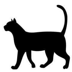 black silhouette cat vector, isolated