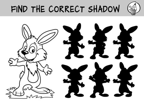 Funny little rabbit. Find the correct shadow