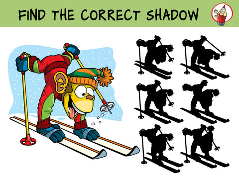 Funny monkey skiing. Find the correct shadow