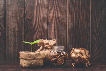 save money, invest stocks, financial income