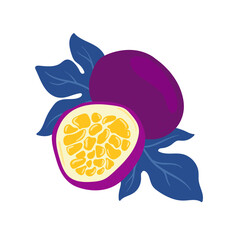 Passion Fruit. Tropical fruit and graphic design elements. Ingredients color cliparts. Sketch style smoothie or juice ingredients.