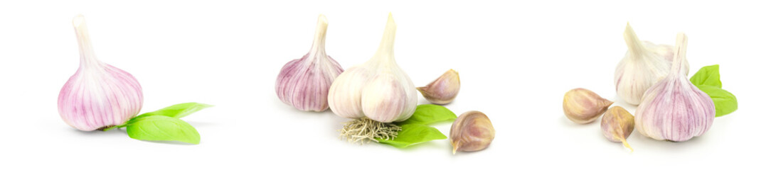 Collage of Garlic isolated on a white background