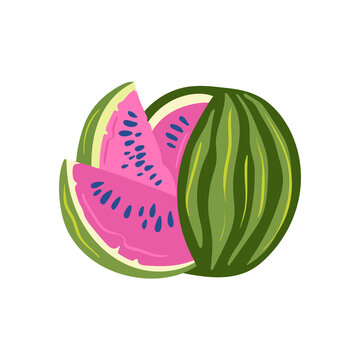 Watermelon. Tropical fruit and graphic design elements. Ingredients color cliparts. Sketch style smoothie or juice ingredients.