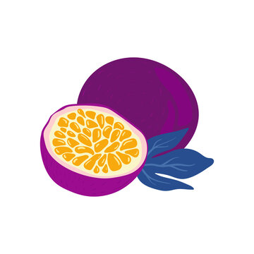 Passion Fruit. Tropical fruit and graphic design elements. Ingredients color cliparts. Sketch style smoothie or juice ingredients.
