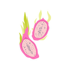 Dragon Fruit. Tropical fruit and graphic design elements. Ingredients color cliparts. Sketch style smoothie or juice ingredients.