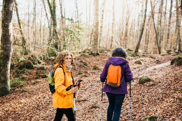 Two senior female friends hiking together through the forest in autumn