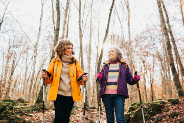 Two senior female friends hiking together through the forest in autumn - obrazy, fototapety, plakaty