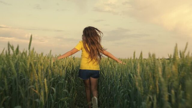 Happy girl runs on a green wheat field. In summer, a free girl runs merrily in a wheat field. The teenager dreams of flying and holds his hands like the wings of an airplane. Childhood