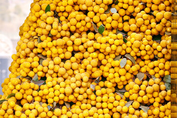 Heaps of fresh longan, ripe harvest