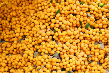Heaps of fresh longan, ripe harvest